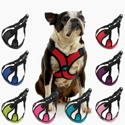 #04234 - Comfort X Step In Lite Harness: Pink / Large Chest (19-22")